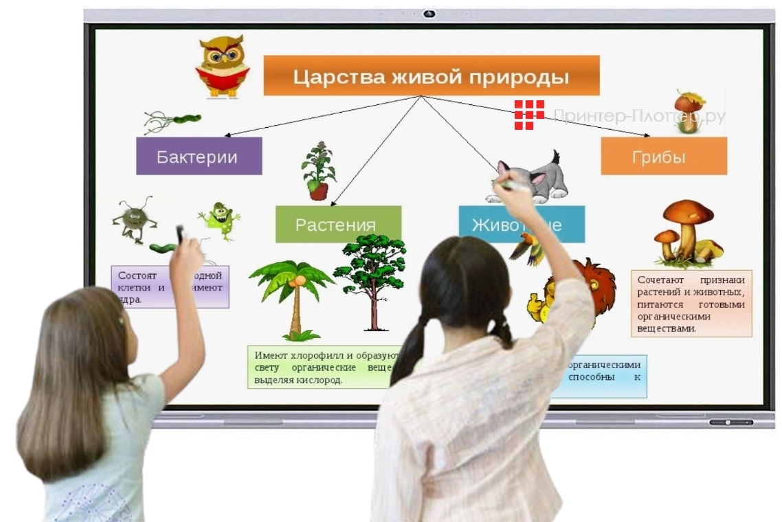 Lumien LMP8604EL. Превосходная точность сенсора