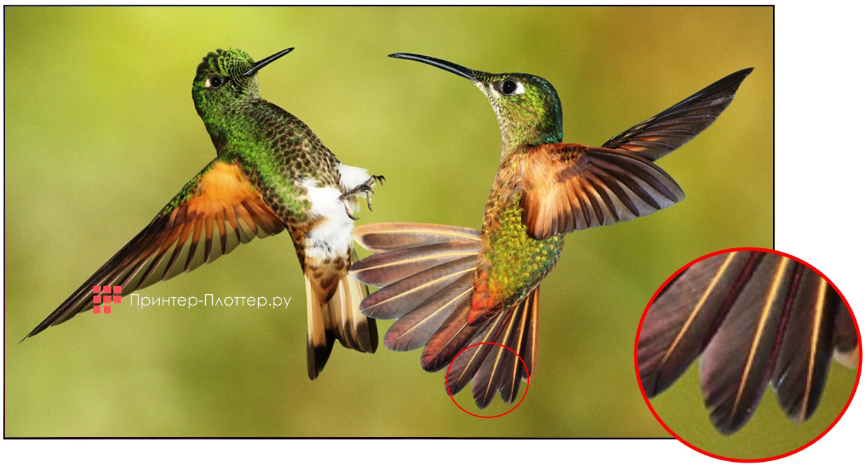 Lumien LMW4618LL. Высокое качество изображения