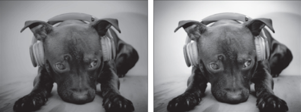 Mimaki CJV300-130. Чернила светло-черного цвета