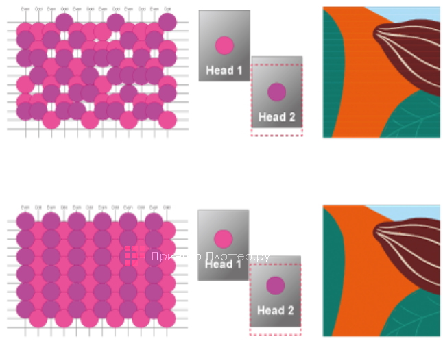 Mimaki CJV330-130. Сравнение расположенных в шахматном порядке головок