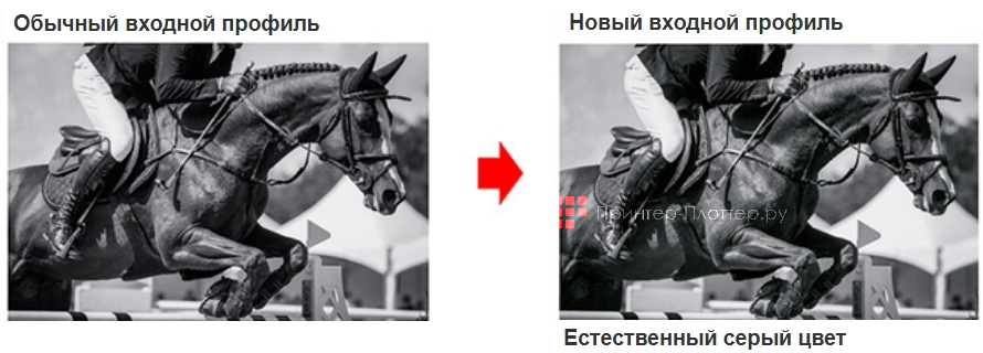 Mimaki CJV330-160. Deep Color Natural