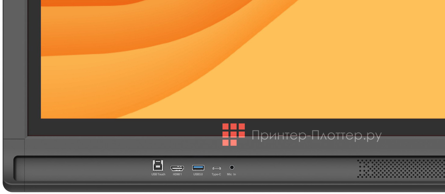 Newline TTruTouch TT-8621Q (8 ГБ). Современные порты