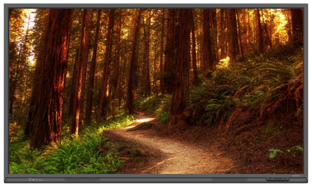 Newline TTruTouch TT-8621Q (8 ГБ)