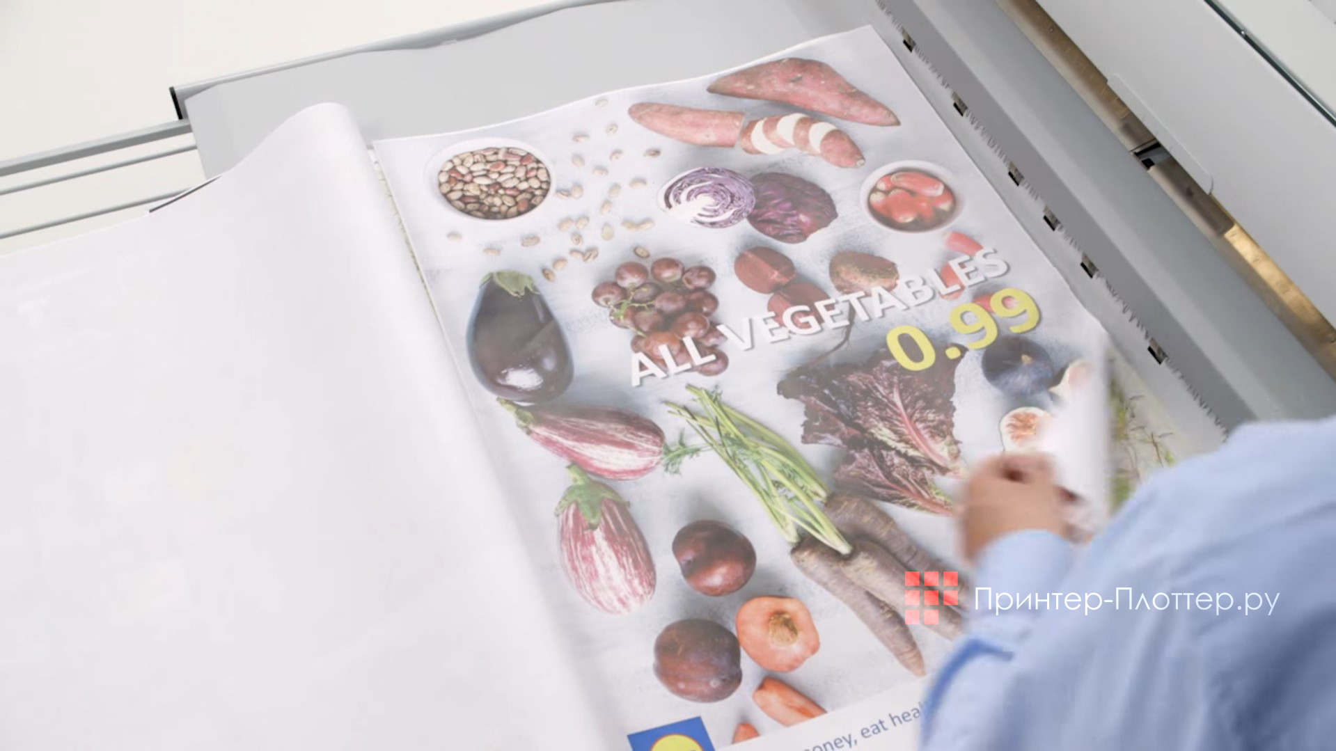 Oce ColorWave 500 DDS2R MFP. Цветное сканирование