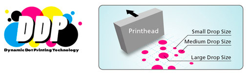 OKI ColorPainter H2P-104s. Технология DDP