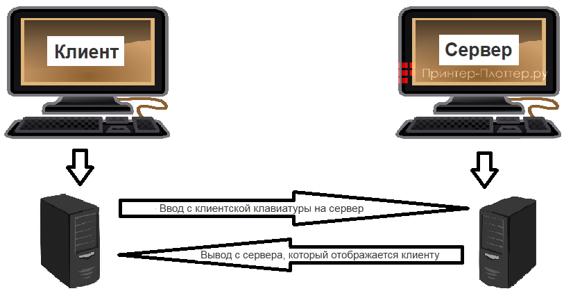 Optoma ZH406-W. Telnet