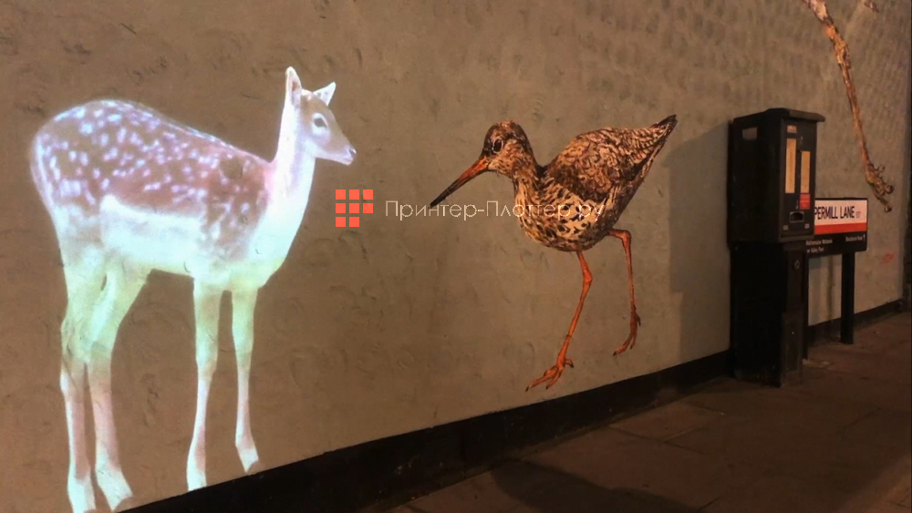 Optoma ZK507-W. Full 3D