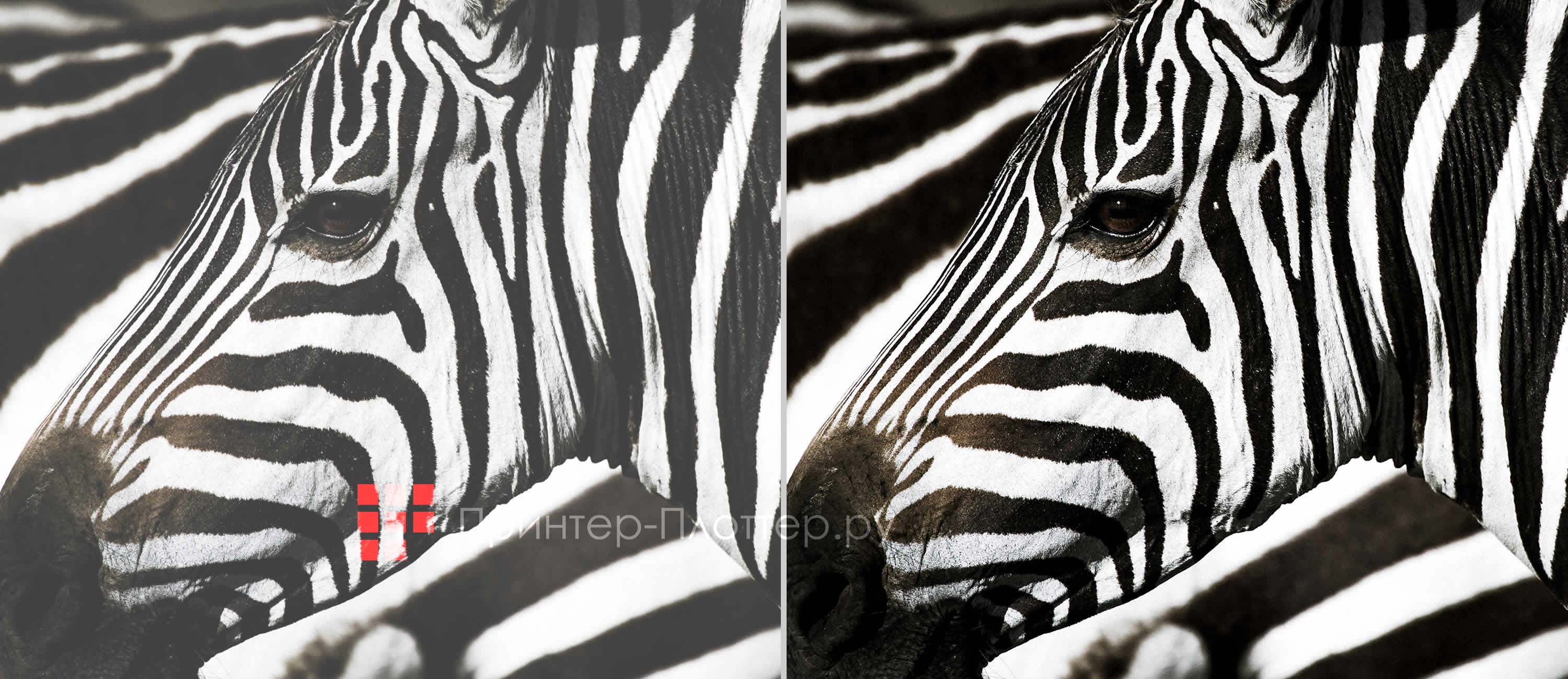 Optoma ZU507TST. Превосходный контраст