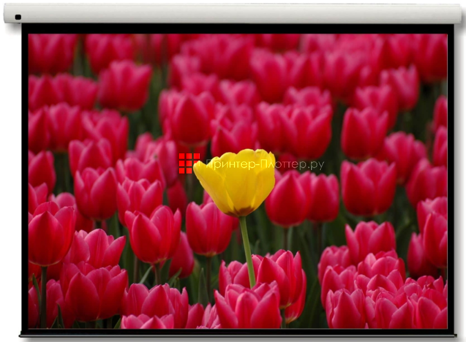 Optoma ZU860. Удивительные цвета