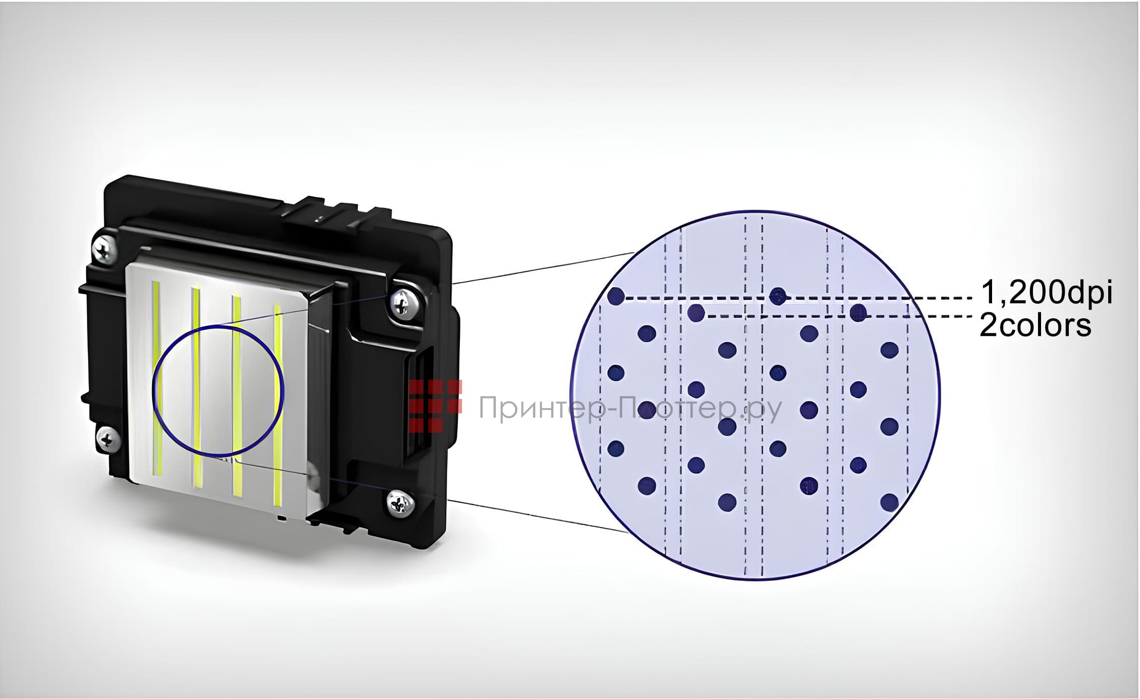 OSNUO OSN UV A3. Печатающая головка Epson i3200