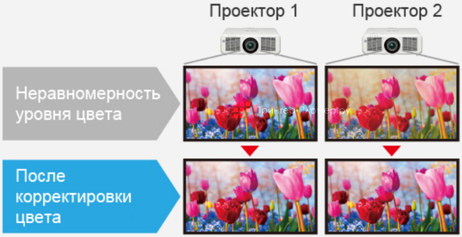 PT-MW530E. Функция настройки цветов