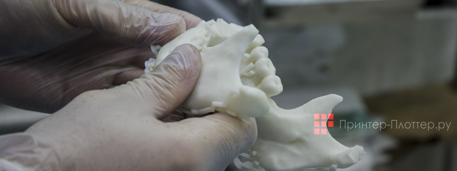 Picaso3D Designer XL PRO. Медицина