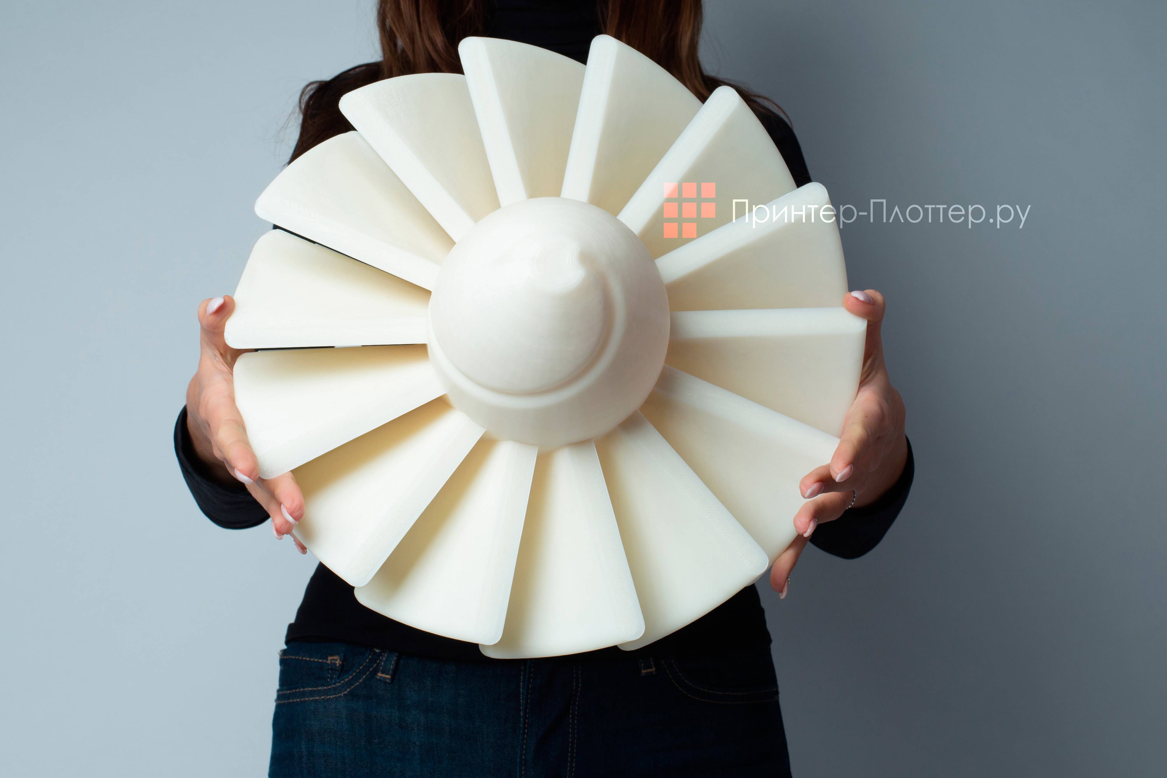 Picaso3D Designer XL. Прототип