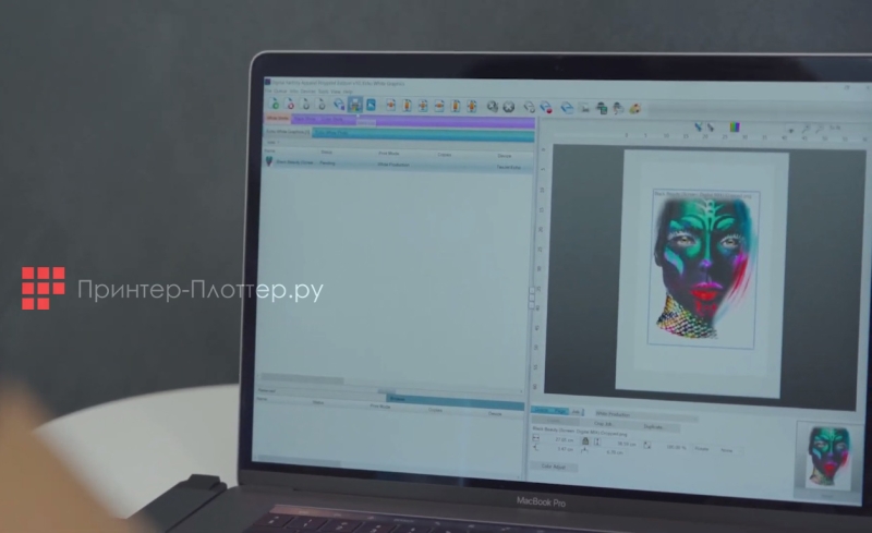 Polyprint Texjet Echo 2. Функции материнской платы