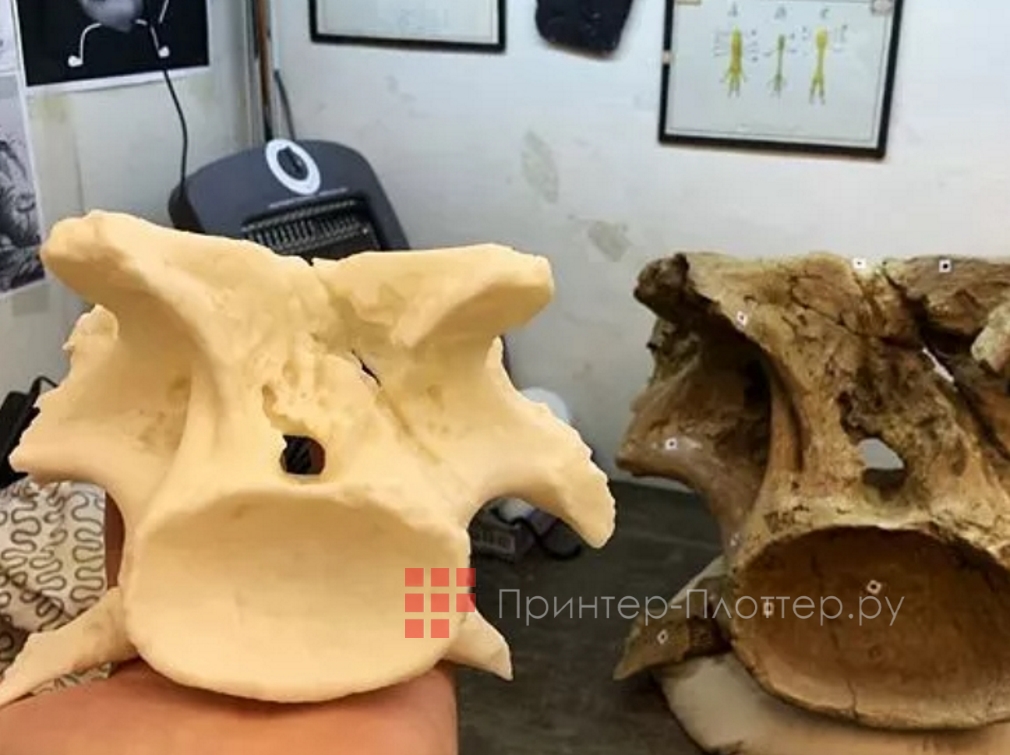 RangeVision PRO II. Цифровое архивирование