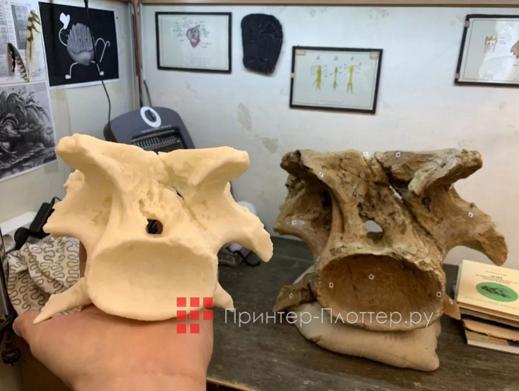 RangeVision Spectrum II. Цифровое архивирование