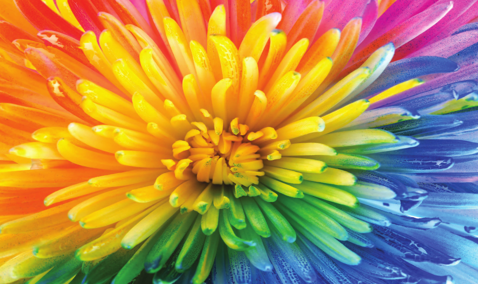  Ricoh Pro C7200SX. Качество изображения