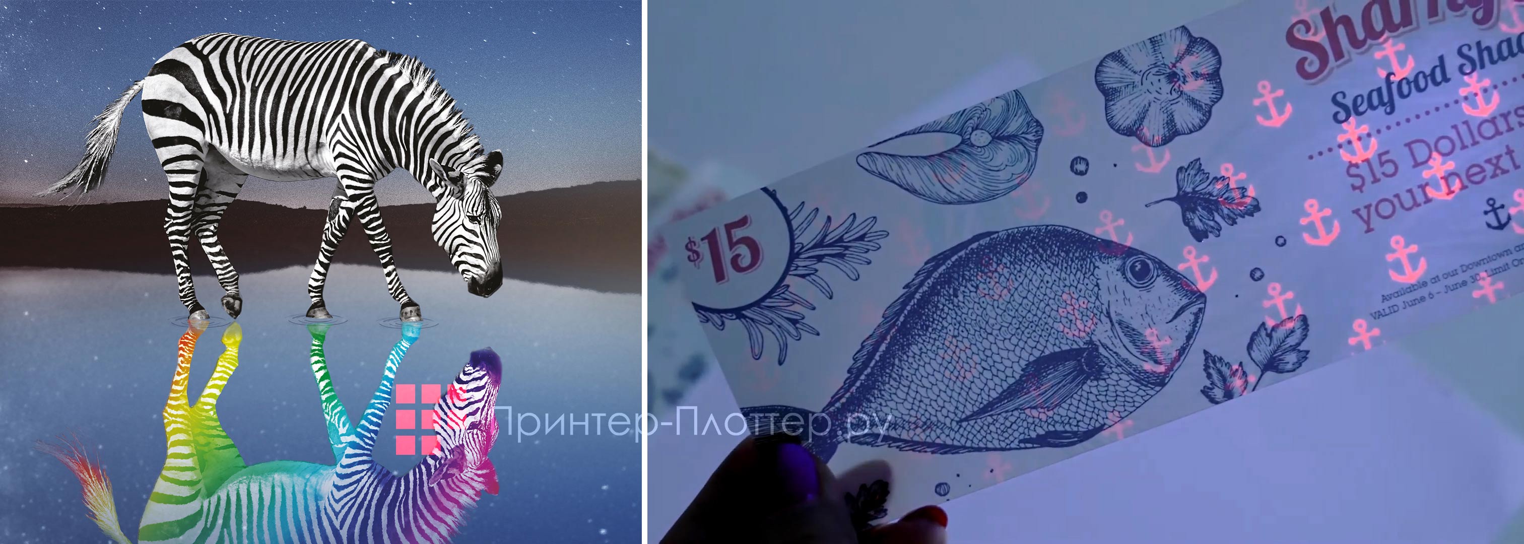 Преимущества пятого цвета
