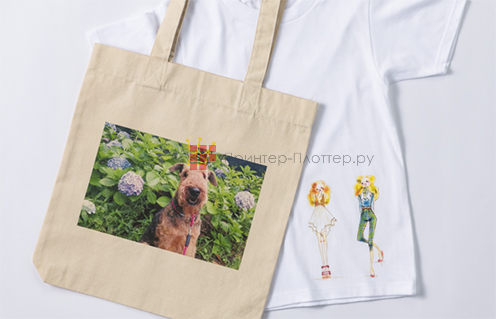 Ricoh Ri 100. Высокое качество изображений