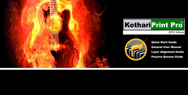 Ricoh Ri 1000. Высокопроизводительная DTG-печать