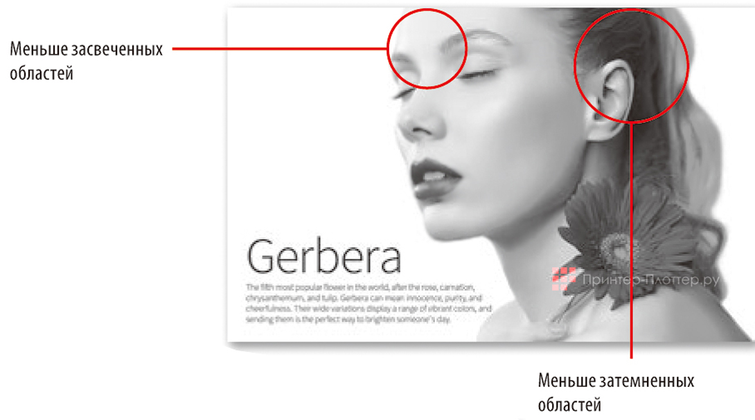 Riso SF 5230 EII. Качество печати изображений