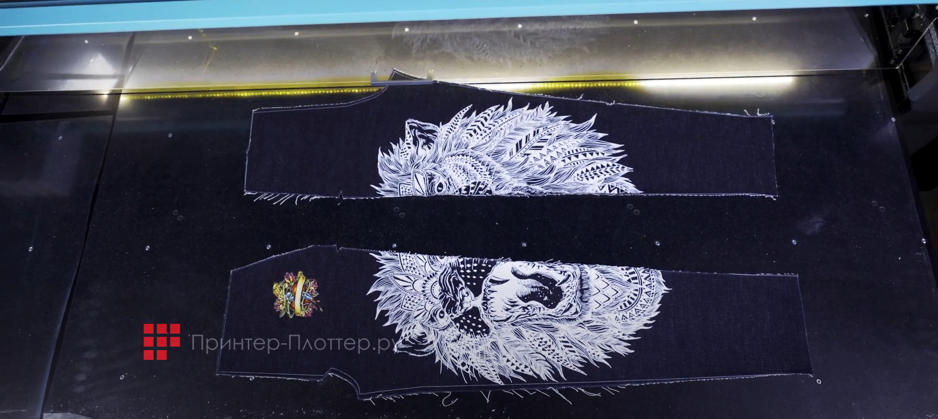 Roland Texart XT-640S-F200. Печать на заказ