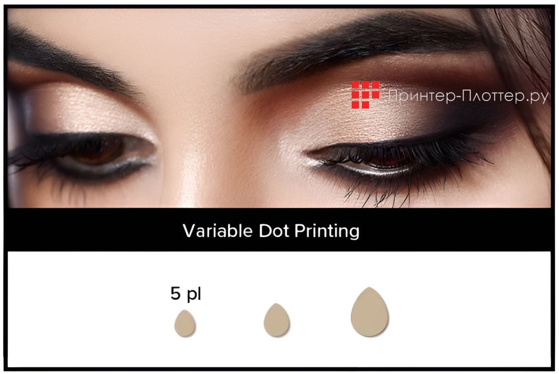 Roland TrueVIS AP-640. Переменная точечная печать