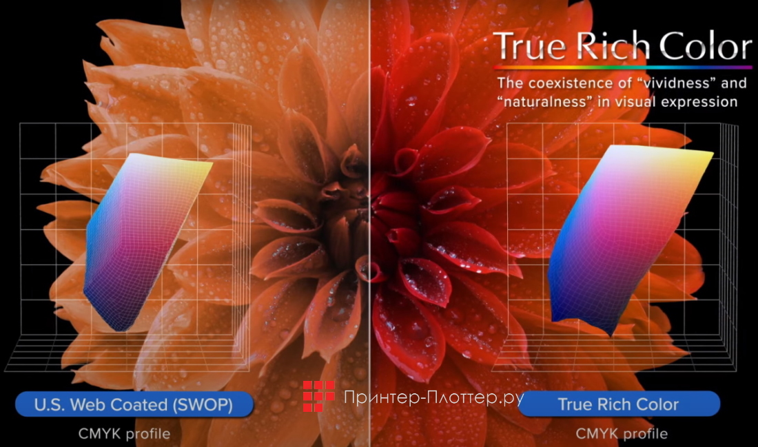 Roland TrueVIS AP-640. TrueRichColor