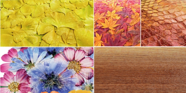 Roland VersaUV LEF2-200. Практически на любом материале