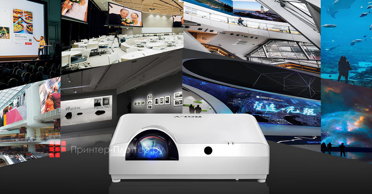 ROLY RL-S600U. Назначение