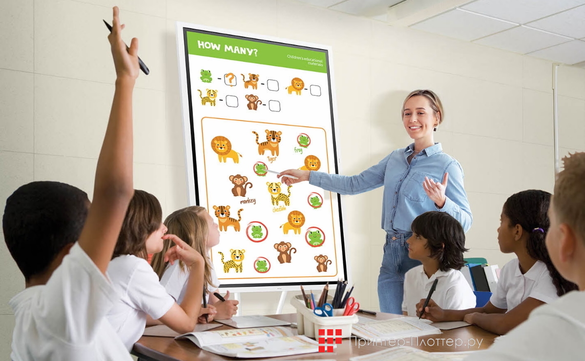 Samsung Flip WM55B. Назначение