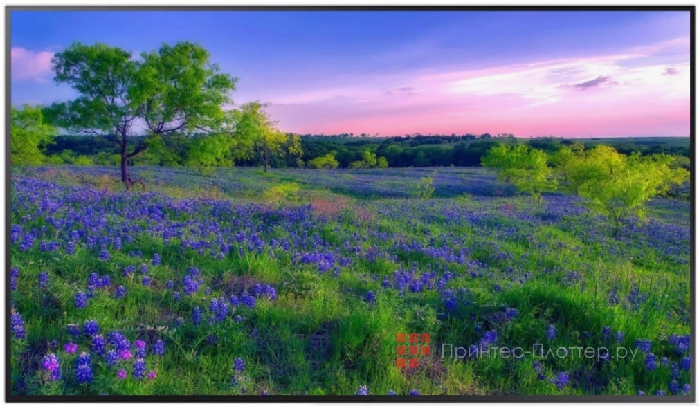 Samsung QM55B-T. Технология Dynamic Crystal Color