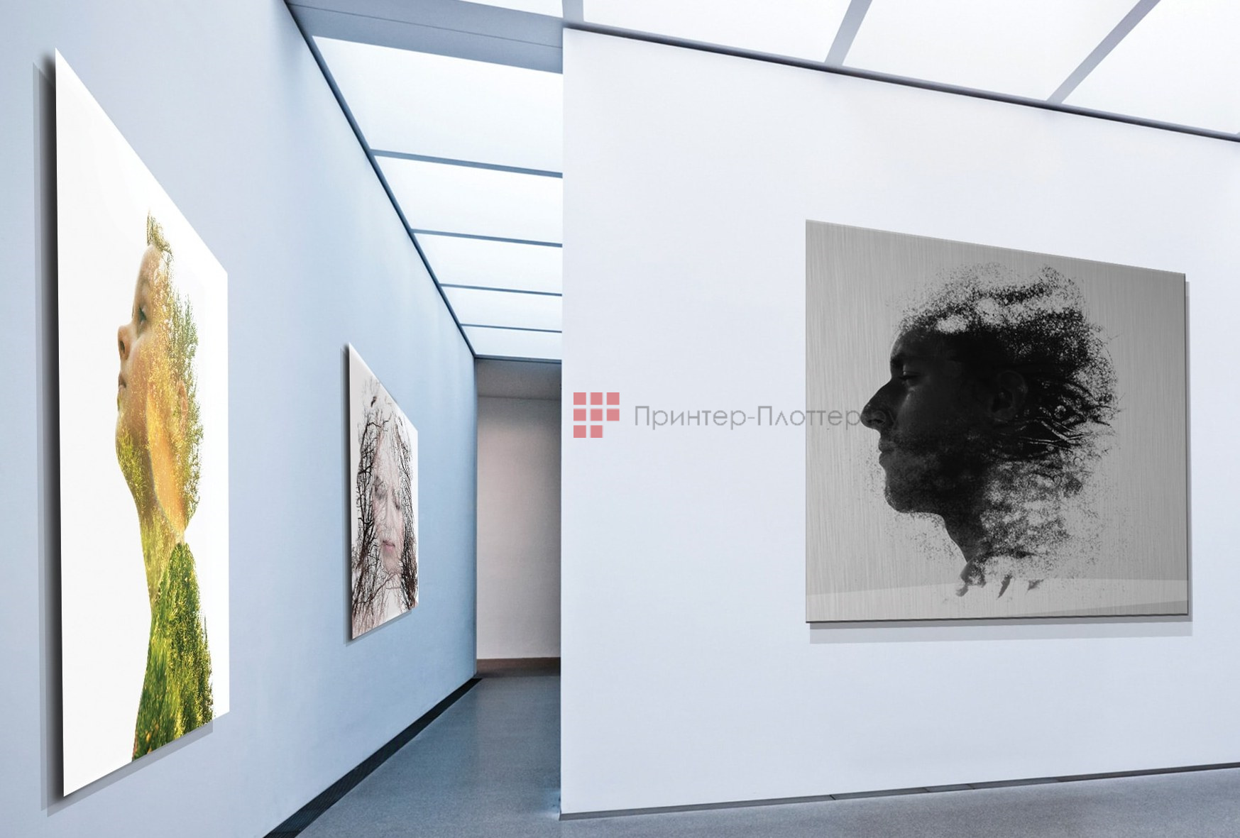 Sefa Subli 2513. Сферы применения