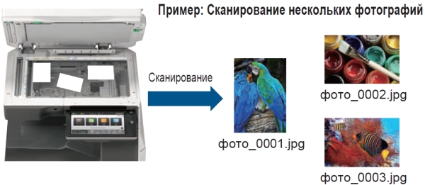 МФУ Sharp B-Phoenix 2 MX-M6071EU. Извлечение изображений при сканировании