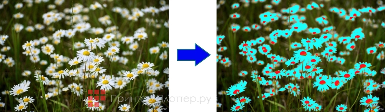 Sharp BP-50C36EU. Копирование в двух цветах