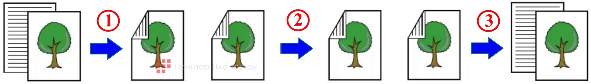 Sharp BP-60C36EU. Двустороннее копирование