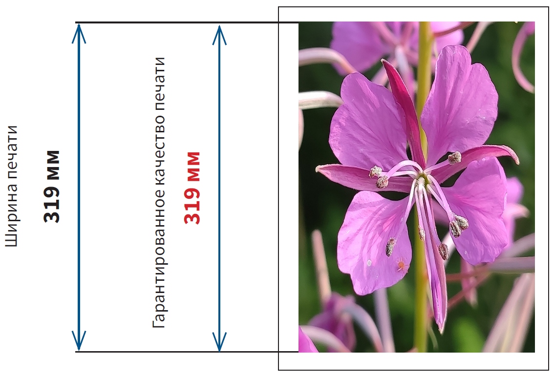 МФУ Sharp Polaris PRO 2 MX-8090NEE. Полноразмерный диапазон гарантированной печати