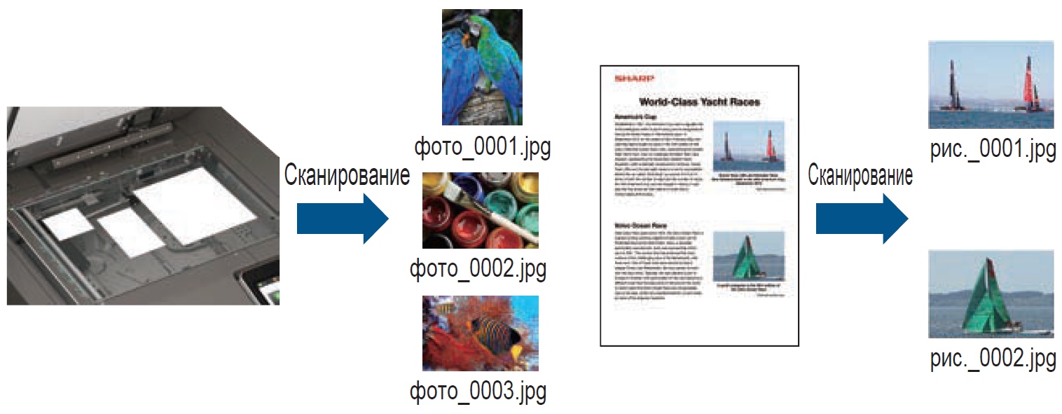 МФУ Sharp Taurus 2 MX-M6570EE. Извлечение изображений при сканировании
