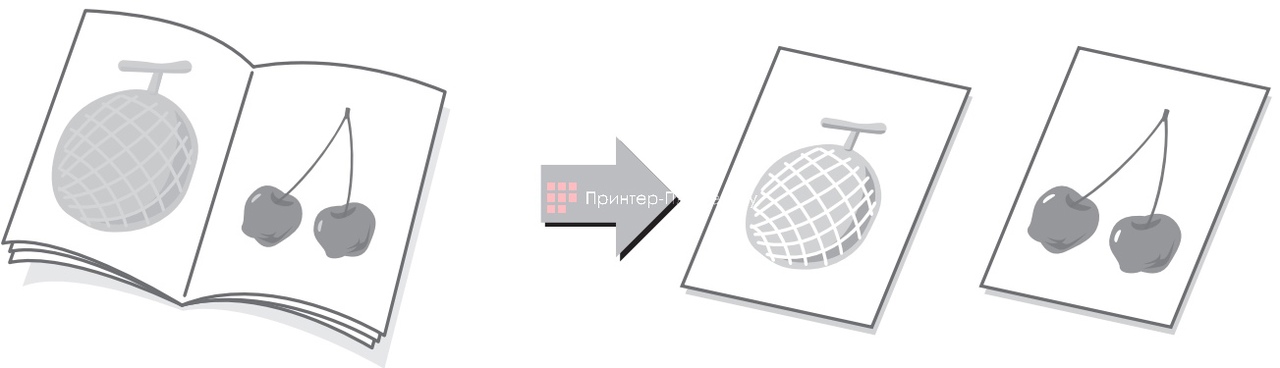 Sharp Taurus 3 BP-70M90EU. Сканирование разворота