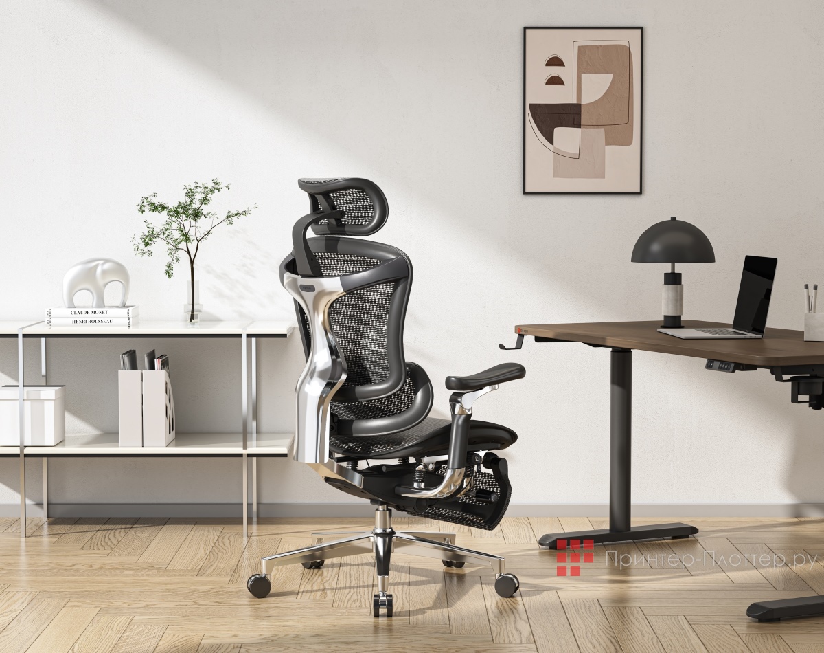 Sihoo C500-PRO-B101-JT. Применение