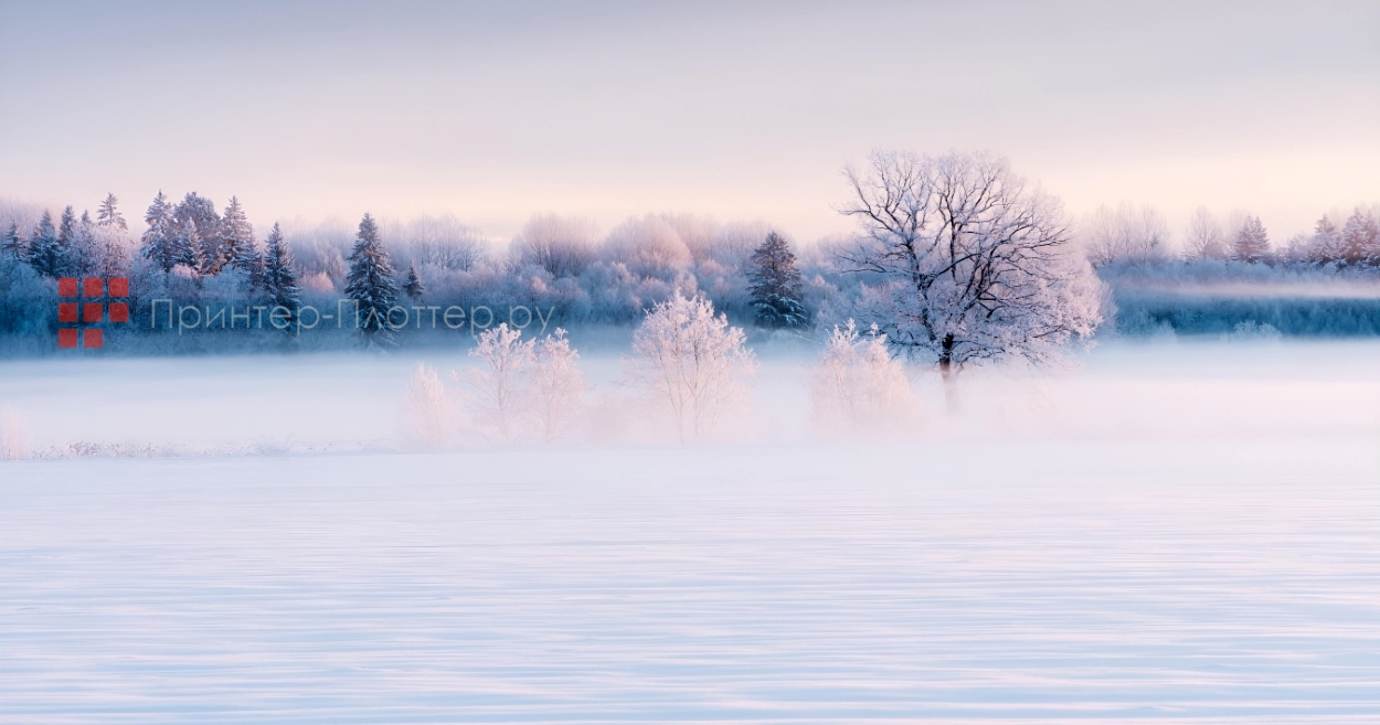 Sonnoc SNP-LC501LW. Глубокий белый цвет