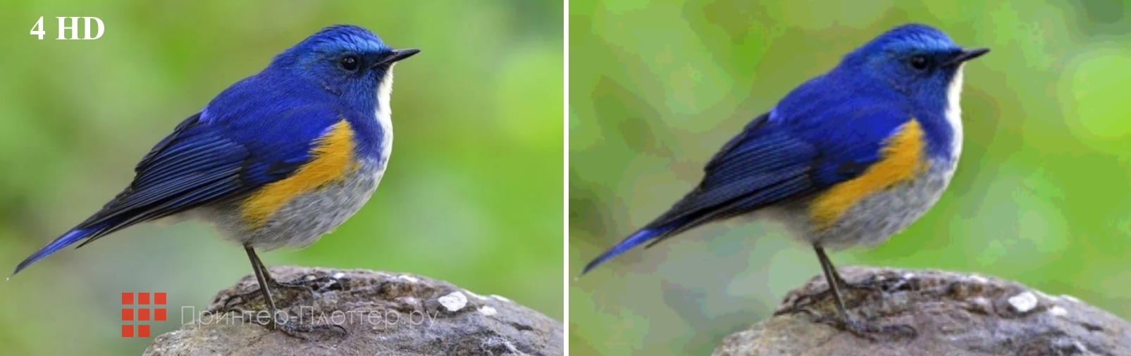 Sonnoc SNP-LC521LU. Совместимость с 4K