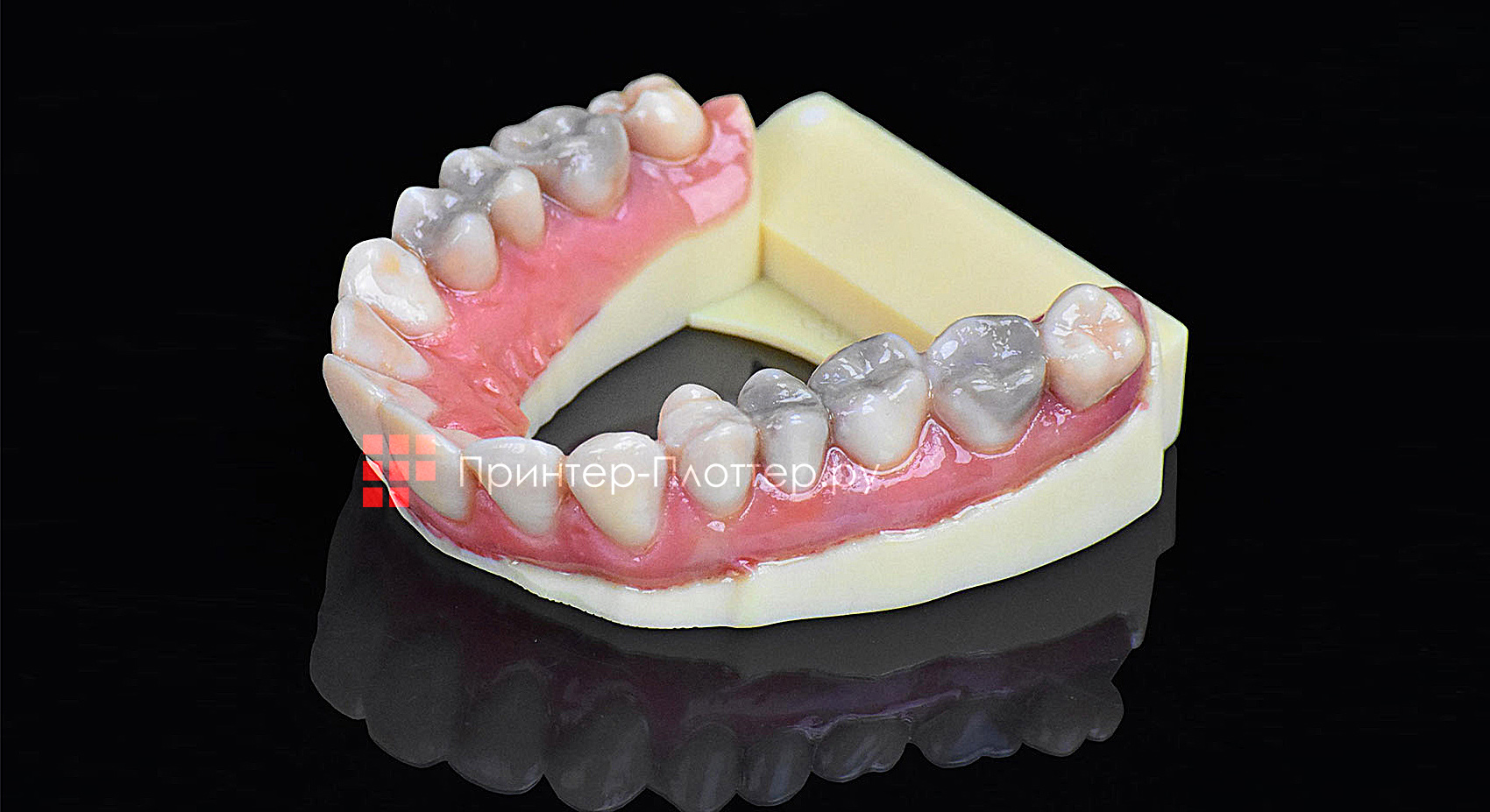 Stratasys J720 Dental. Полноцветная модель зуба