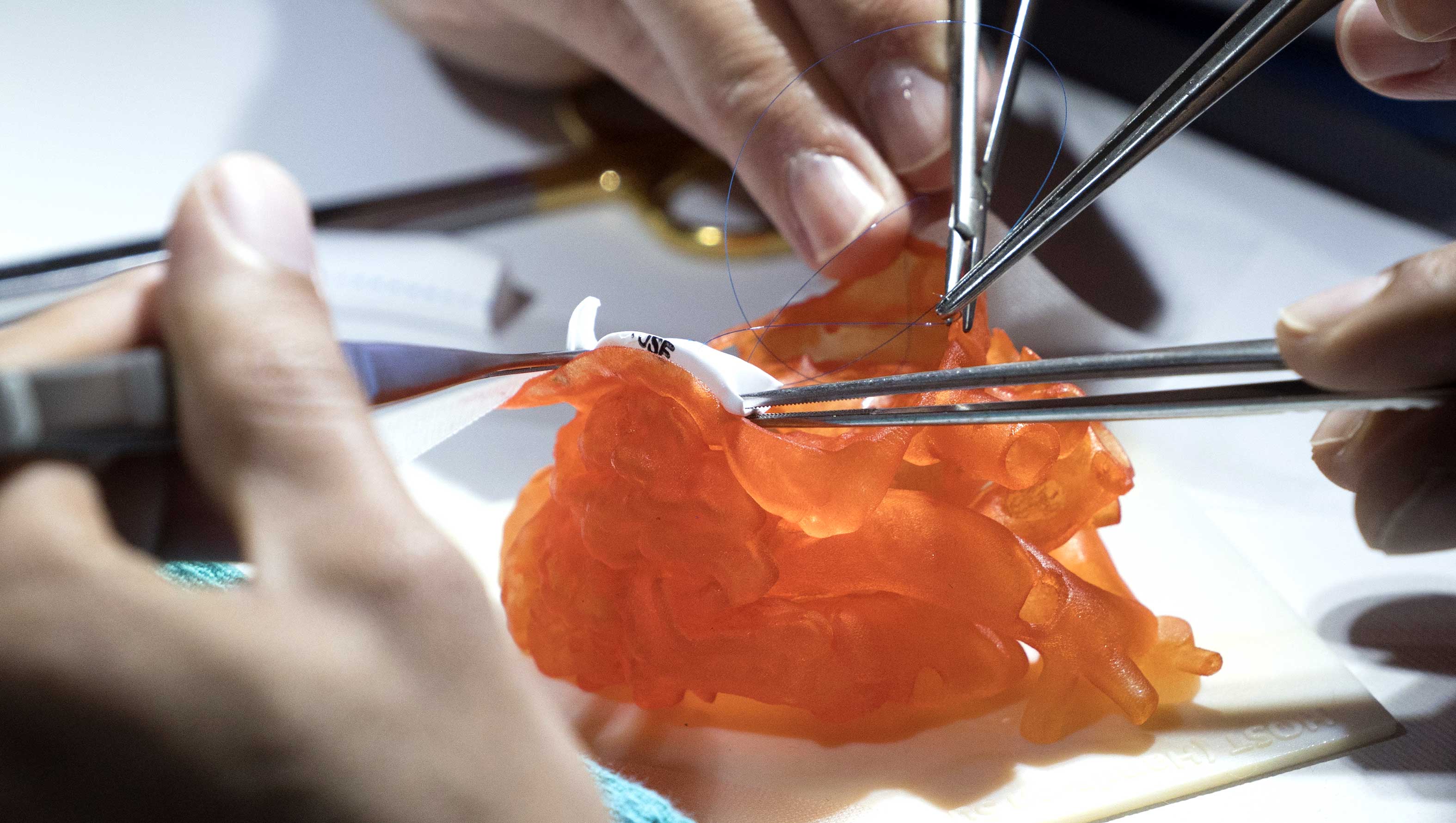 Stratasys J750 Digital Anatomy. ПО GrabCAD Print Digital Anatomy 