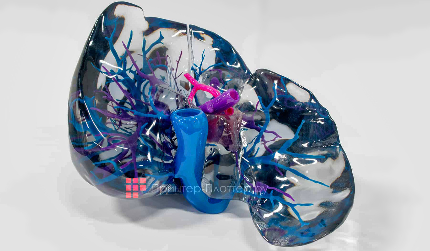 Stratasys J750 Digital Anatomy. Создание сложных многотекстурных структур