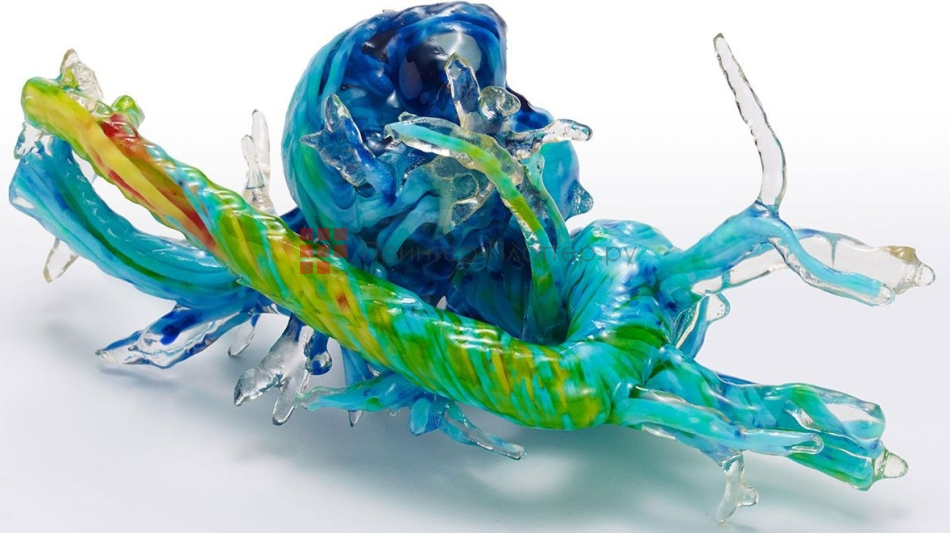 Stratasys J750 Digital Anatomy. Технология печати PolyJet