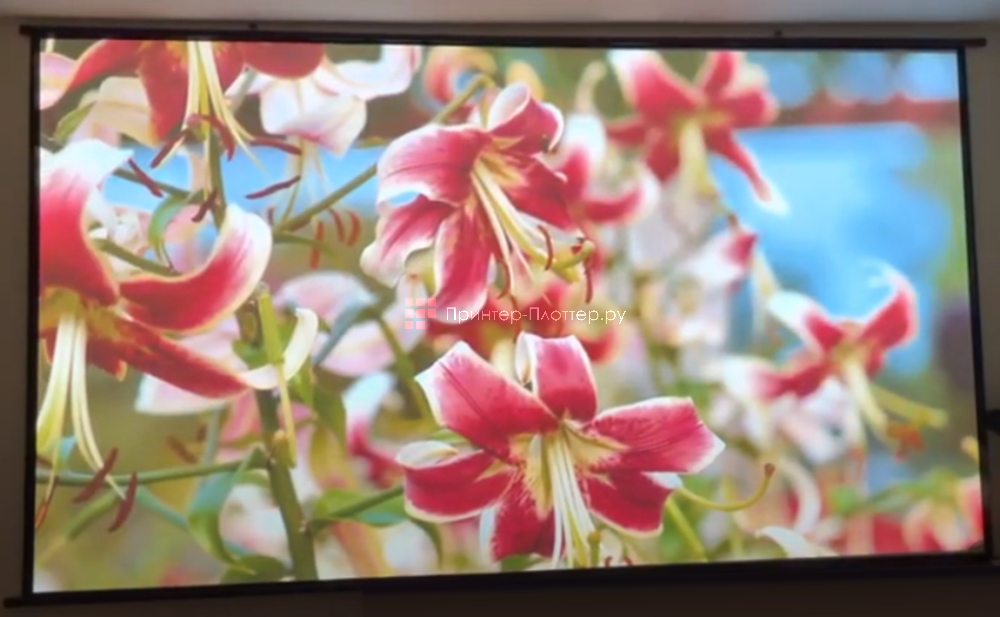 ViewSonic PX701-4K. Настройка цветовых профилей