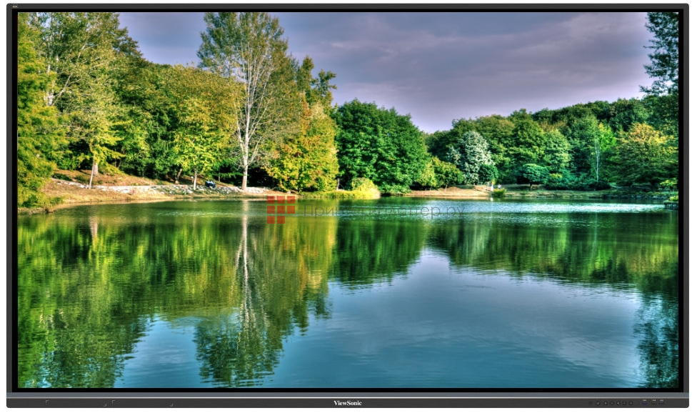 ViewSonic ViewBoard IFP6550-3