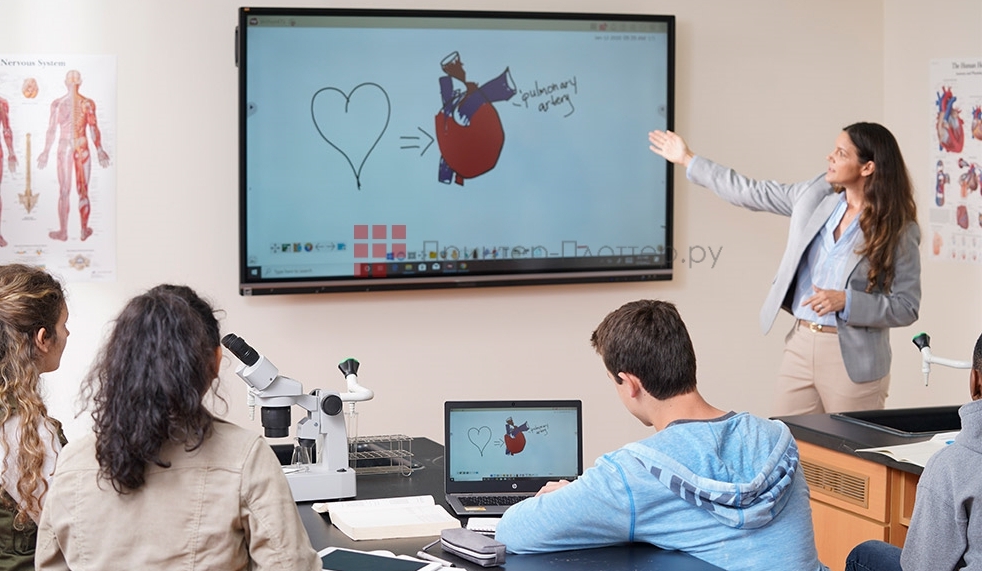 ViewSonic ViewBoard IFP7550-3. Обмен контентом по беспроводной сети 