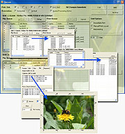 Wasatch SoftRIP Russian Edition. Дополнительные возможности
